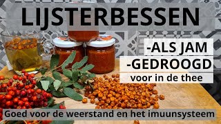 Lijsterbessenjam en Gedroogd Goed voor de Weerstand en het Immuunsysteem [upl. by Nylrahc]