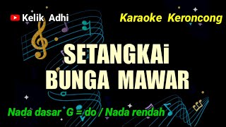 SETANGKAI BUNGA MAWAR  KARAOKE KERONCONG NADA RENDAH [upl. by Norvil750]