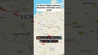 🇧🇪Brussels to 🇦🇪Dubai direct flight✈️aviation airport airtravel shorts yt youtubeshorts [upl. by Lonyer]