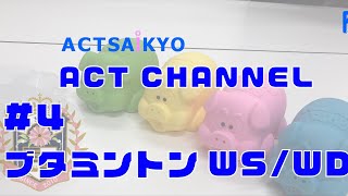 ACT Channel 4 ブタミントン WSWD [upl. by Griffis236]