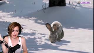 Thats the cutest F thing Ive ever seen  twitch 2019 rabbit meme [upl. by Nirtiak]