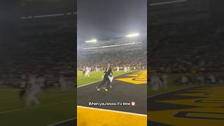 WHAT A CATCH BY MIZZOU🐯🔥youtubeshorts footballshorts collegefootball football [upl. by Skyler]