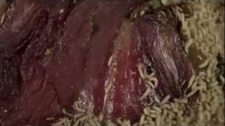 time lapse maggots eating meat HD [upl. by Nitsoj3]