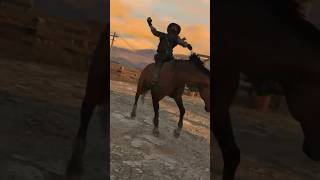 Taming a Wild Mexican Horse 🐎 [upl. by Gypsie2]