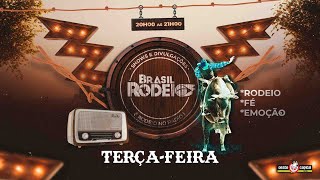 PROGRAMA BRASIL RODEIO AO VIVO  0511  2040 [upl. by Haerb]