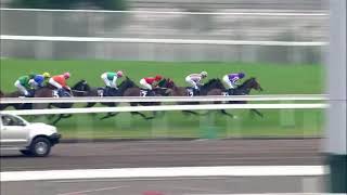 Highland Reel  Hong Kong Vase Gr1 [upl. by Dugan530]