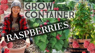 How To Grow Raspberries In Containers [upl. by Dixie274]