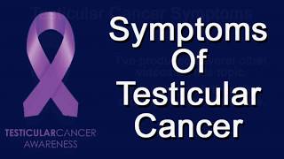 Symptoms Of Testicular Cancer [upl. by Angell]