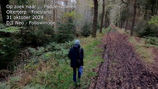 659 Olterterp  Op zoek naar Paddenstoelen 31102024  DJI Neo [upl. by Banebrudge]