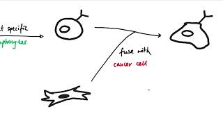 AQA GCSE  B6 Preventing and treating diseases OVERVIEW [upl. by Perzan968]