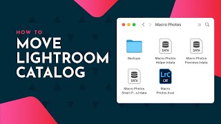 Move Lightroom catalog to new computer or external harddrive [upl. by Ecirahs]