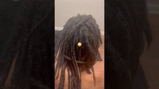 DREADLOCK BUILDUP dreads dreadstyles dreadlocks shorts foryou viralvideo dreadjourney [upl. by Araeic]