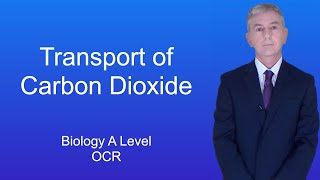 A Level Biology Revision quotTransport of Carbon Dioxide OCRquot [upl. by Lehrer825]