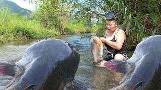 Top video Survival fish huntinghandcatching fish techniques unique fish trapsrustic fishing [upl. by Burn109]