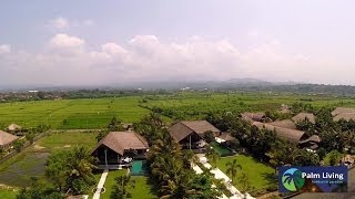 Palm Living  Bali Villa Sheeba  For Rent in Bali [upl. by Drewett]