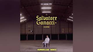 Salvatore Ganacci  Horse KERIMKAAN Remix [upl. by Ahsiekin]