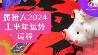 属猪人2024年上半年运势运程如何 属猪人2024年上半年运势运程详解属猪人2024年运势 属猪上半年运程 属猪人2024年上半年运势 2024年龙年属猪人运程 [upl. by Nahtam]