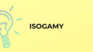 What is the meaning of the word ISOGAMY [upl. by Yelsehc302]