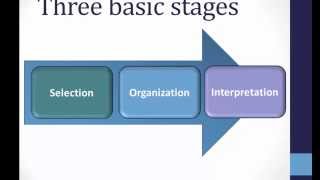 Perception Basics [upl. by Roxane]