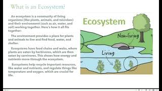 My school activityProject about Ecosystem school science ecosystem plants [upl. by Hiett]