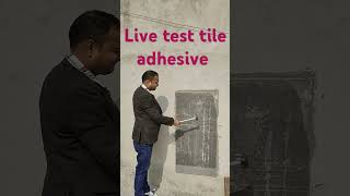 Live testing tile adhesive adhesives tiles adhesive glue buildingmaterials [upl. by Endaira71]