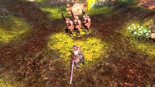 C9  Berserker Skill  Flame Smash  Continent of the Ninth Seal  Webzen MMORPG [upl. by Sophie728]