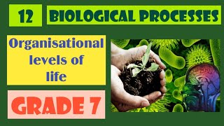 Biological processesScience English mediumGrade 7 part 1 Organisational levels of lifeunit 12 [upl. by Anileuqcaj]