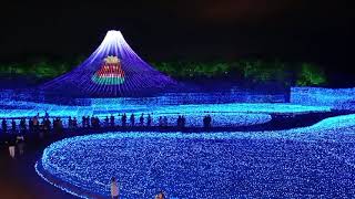 NABANA NO SATO WINTER ILLUMINATION 2024 [upl. by Novat150]