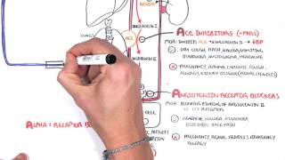 Pharmacology  Antihypertensives [upl. by Bettencourt]