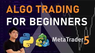 Algo Trading for Beginners  Python MT5 [upl. by Minton]