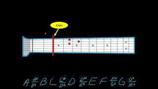 Understanding how a capo works [upl. by Kalman35]