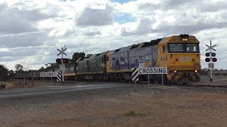 Level Crossing Hopetoun VIC Australia [upl. by Lener]