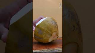 fantastic fresh cut coconut Asmr sound [upl. by Araic769]