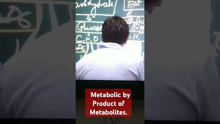 Metabolic Products of Metabolite like Glucose Fatty acid Glycerol ampAminoacid [upl. by Nalaf]