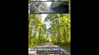 ¿El camino en carretera más bonito orgullohidalguense cdmDrive carretera roadtrip dashcam [upl. by Nanette]