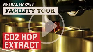 CO2 Hop Extract  History amp Process Virtual Harvest 2020 [upl. by Alebasi]