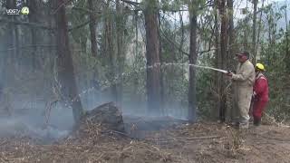 Incendios forestales en Colombia siguen fuera de control y arrasan 9000 hectáreas [upl. by Evita]