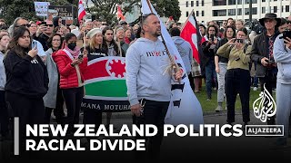 New Zealand politics Protests planned against racial divide [upl. by Recha147]