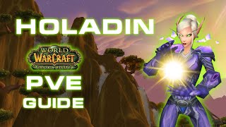 How to sucessfully start as HOLY Paladin in TBC  TBC Classic Holy Paladin PvE Guide [upl. by Shelah]