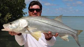 EPIC Day Flats Fishing for Snook and Redfish [upl. by Shana]