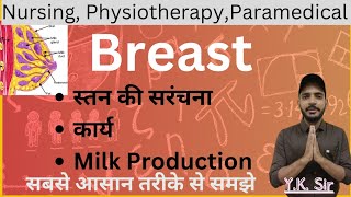 Breast  स्तन  Mammary Gland  Anatomy amp Physiology  Hormones  YK Sir [upl. by Catlin]