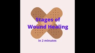 Stages of Wound Healing in 2 mins [upl. by Amik653]