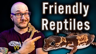 Top 5 Friendliest Reptiles  No Biting No Scratching All Love [upl. by Toole1]