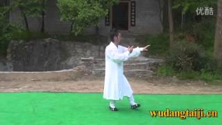 Wudang Tai Chi  Taiji  28 Form [upl. by Alden]