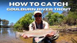 Goulburn River Fishing for BIG Brown and Rainbow Trout  Plus Plenty of Fishing Tips and Techniques [upl. by Shanta]