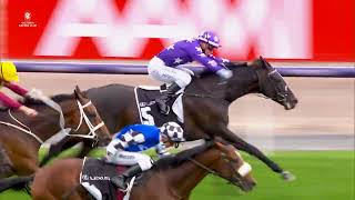 Last 5 Lexus Archer Stakes [upl. by Sheepshanks268]