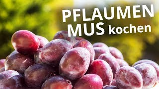 Pflaumenmus ohne Rühren selber machen  mit Rezept [upl. by Anaid767]