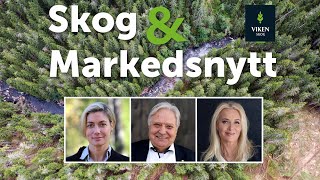 Skog amp Markedsnytt september 2024 [upl. by Belak]