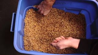 Malting the whole feed bag [upl. by Ahsemik826]