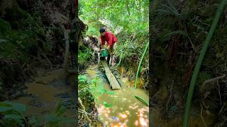 Finding Amazing Gold Gold Prospecting with A High Banker [upl. by Susy684]